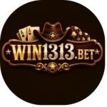 Win1313
